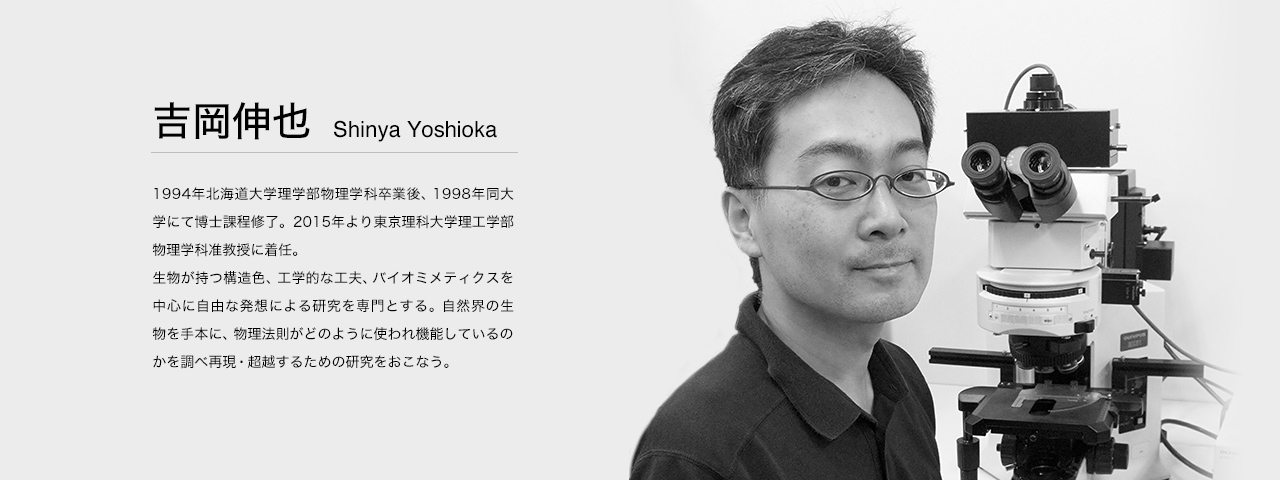 吉岡 伸也 Shinya Yoshioka 1994年北海道大学理学部物理学科卒業後、1998年同大学にて博士課程修了。2015年より東京理科大学理工学部物理学科准教授に着任。
生物が持つ構造色、工学的な工夫、バイオミメティクスを中心に自由な発想による研究を専門とする。自然界の生物を手本に、物理法則がどのように使われ機能しているのかを調べ再現・超越するための研究をおこなう。
WEBサイト：http://www.yoshioka-lab.com/index.html
